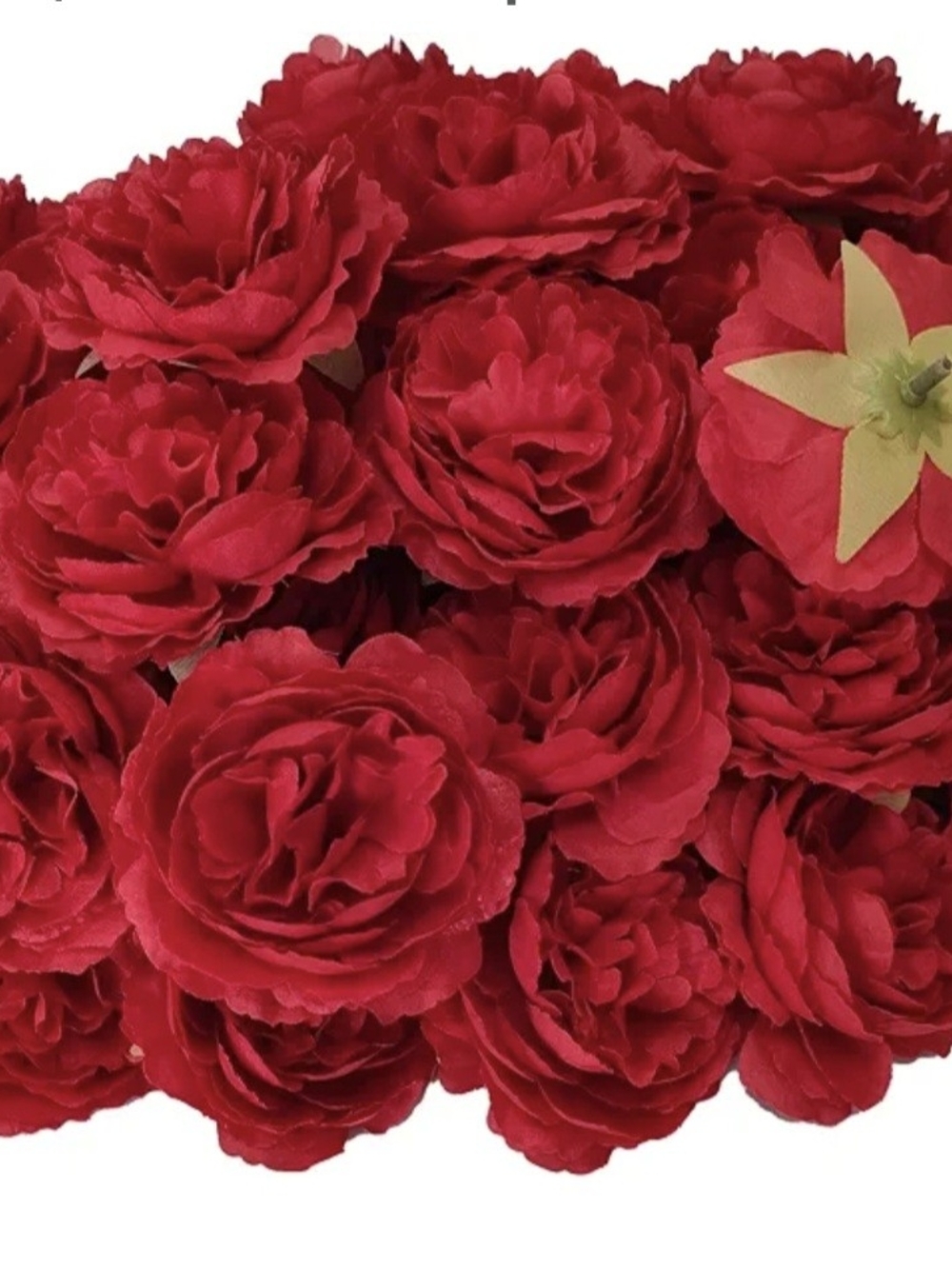 Red Rose Heads